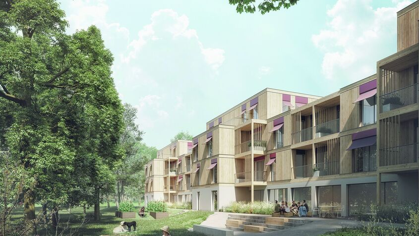 Visualisierung eines Wohnprojekts in Holz- und Holzhybrid-Bauweise