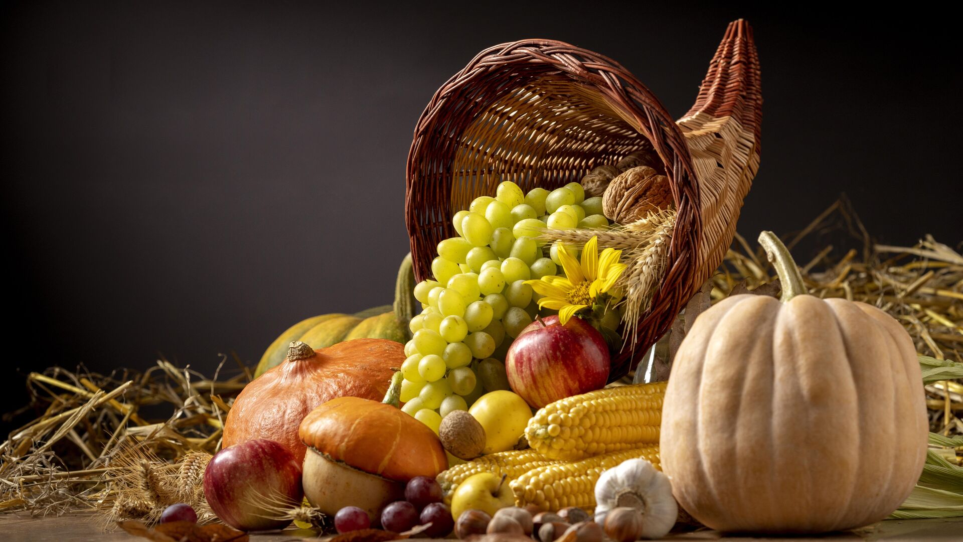 Festliches Füllhorn-Arrangement mit Kürbissen, Trauben, Maiskolben, Äpfeln etc.