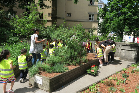 Das Blumenbeet wird gemeinsam vorbereitet.