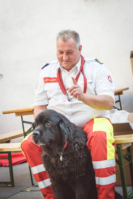 Ein Rettungshund des Samariterbundes.