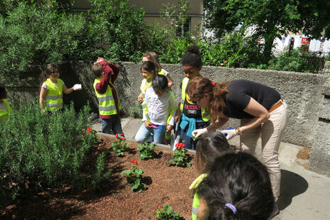 Kinder setzen neue Pflanzen ein