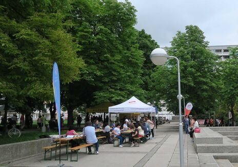 Viele BesucherInnen beim Siedlungsfest