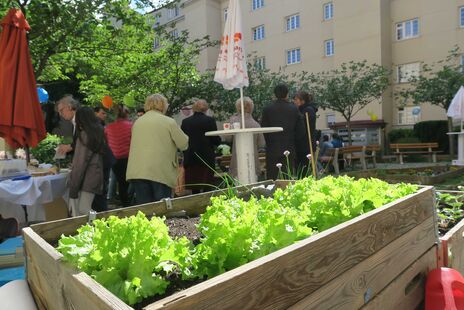 BewohnerInnen zu Besuch beim Hoffest