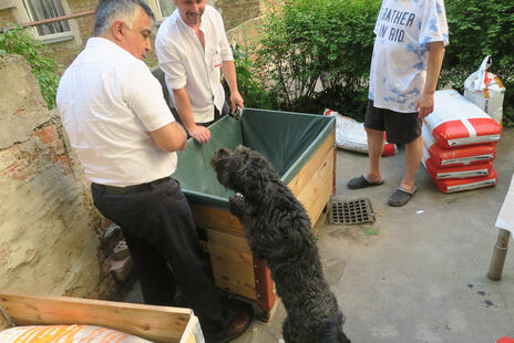 wohnpartner und fleißige BewohnerInnen helfen zusammen um die Beete aufzustellen.