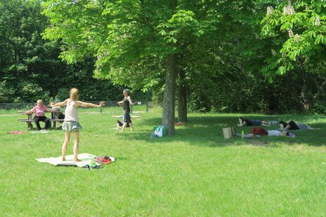 Yoga mit Lehrerin auf grüner Wiese. Drei Bewohnerinnen machen Übungen im liegen, andere stehen und zwei sitzen dabei. 