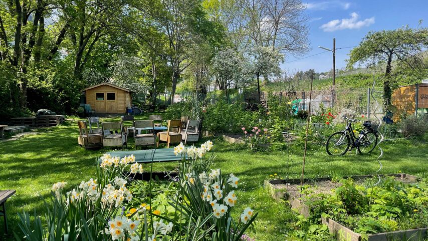 Gartenidyll mit Blumen
