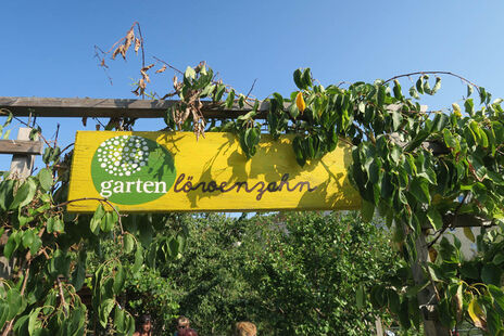 Der Nachbarschaftsgarten „Löwenzahn“ in der Brigittenau.