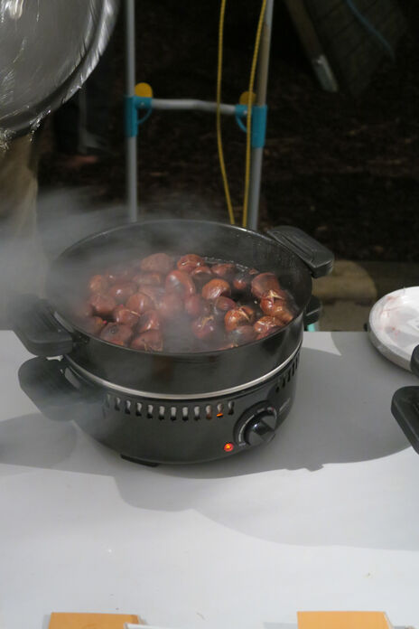 Dampfende Maroni beim Fest im Otto-Gratzl-Hof