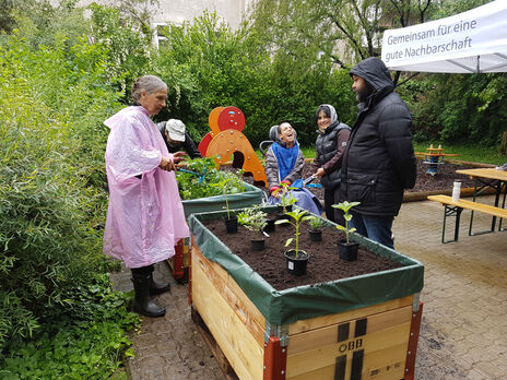 BewohnerInnen bepflanzen das neue Hochbeet