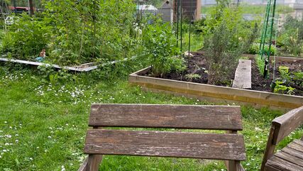 Gartenidyll mit Holzstühlen