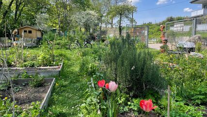 Gartenidyll mit Blumen und Beeten