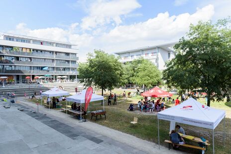 Zahlreiche Kooperationspartner und BesucherInnen beim Sommerfest im Ella-Lingens-Hof