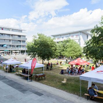 Zahlreiche Kooperationspartner und BesucherInnen beim Sommerfest im Ella-Lingens-Hof