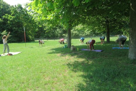 Yogalehrerein mit sieben Bewohnerinnen auf grüner wiese machen Joga.