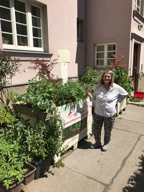 Die fleißigen GärtnerInnen der Herbortgasse haben heuer wieder mit viel Elan, Engagement und Liebe ihre Beete betreut und gepflegt. 