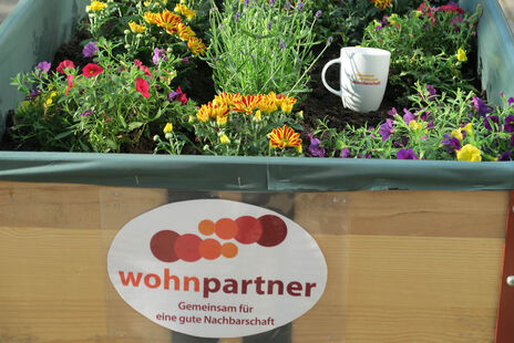 Die wohnpartner-Beete sind neu bepflanzt und sehen sehr hüsch aus.