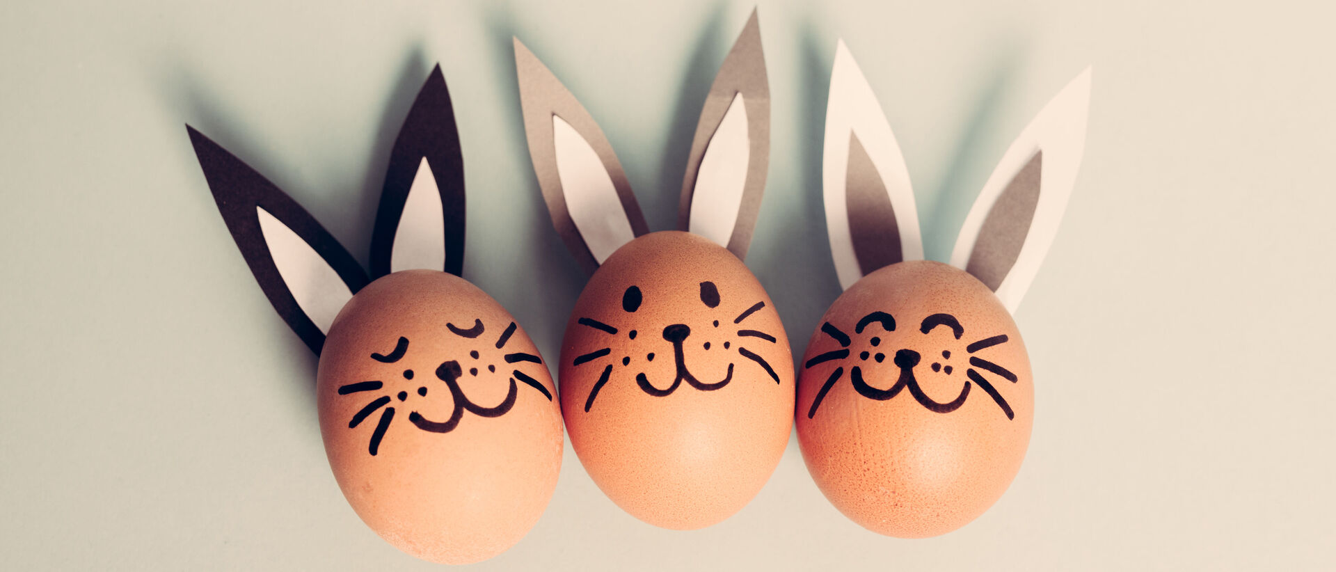 Drei Eier mit aufgemalten Hasengesichtern und aufgeklebten Hasenohren liegen nebeneinander.